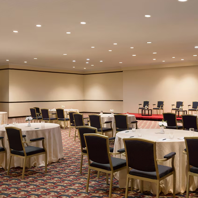 Panneaux muraux de meubles fixes de d&eacute;coration de luxe d'hospitalit&eacute;