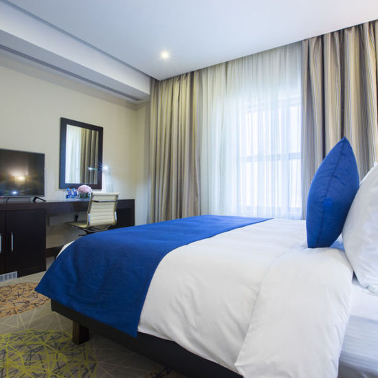Comfortable Hotel Executive Business Suite Room Design